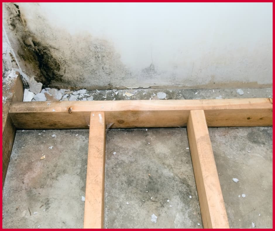 Delaware Basement Moisture Issues