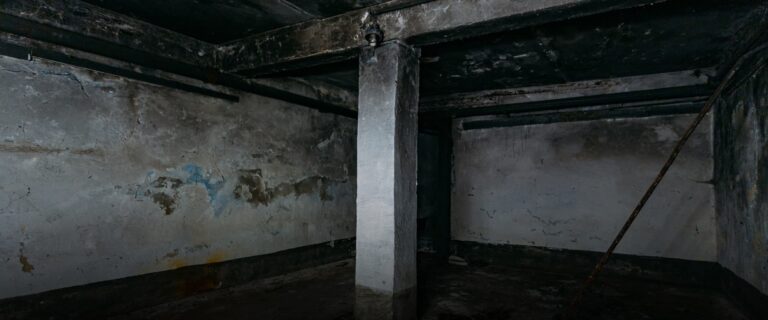 Haunted or Just Neglected? What Inspectors Look for in Creepy Basements