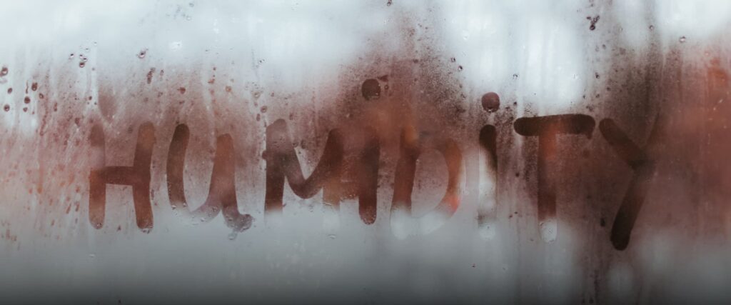 Moisture Trouble in Delaware: Protect Your Basement This Humid October